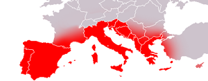 Región Europa del Sur