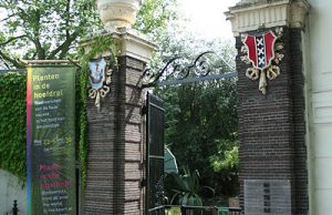 Hortus Botanicus de Ámsterdam