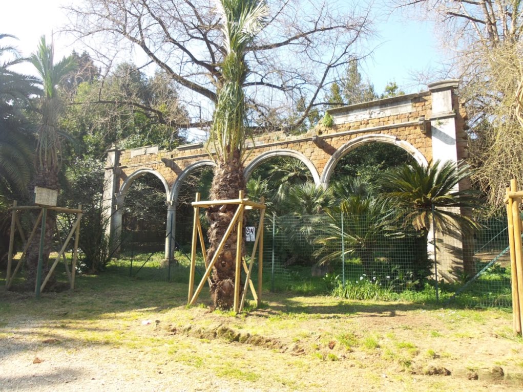 Villa Sciarra 10