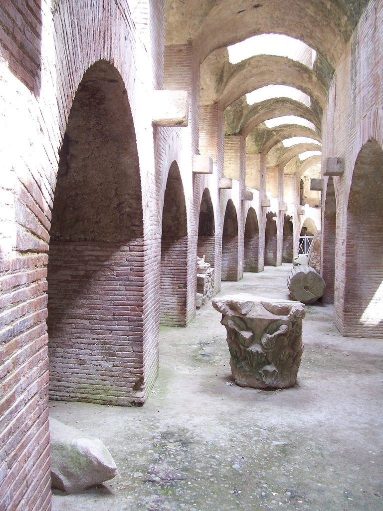 Anfiteatro Flavio  7