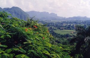 Valle Viñales