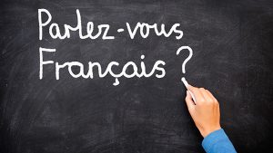 Idioma en Francia