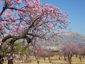 Primavera en España